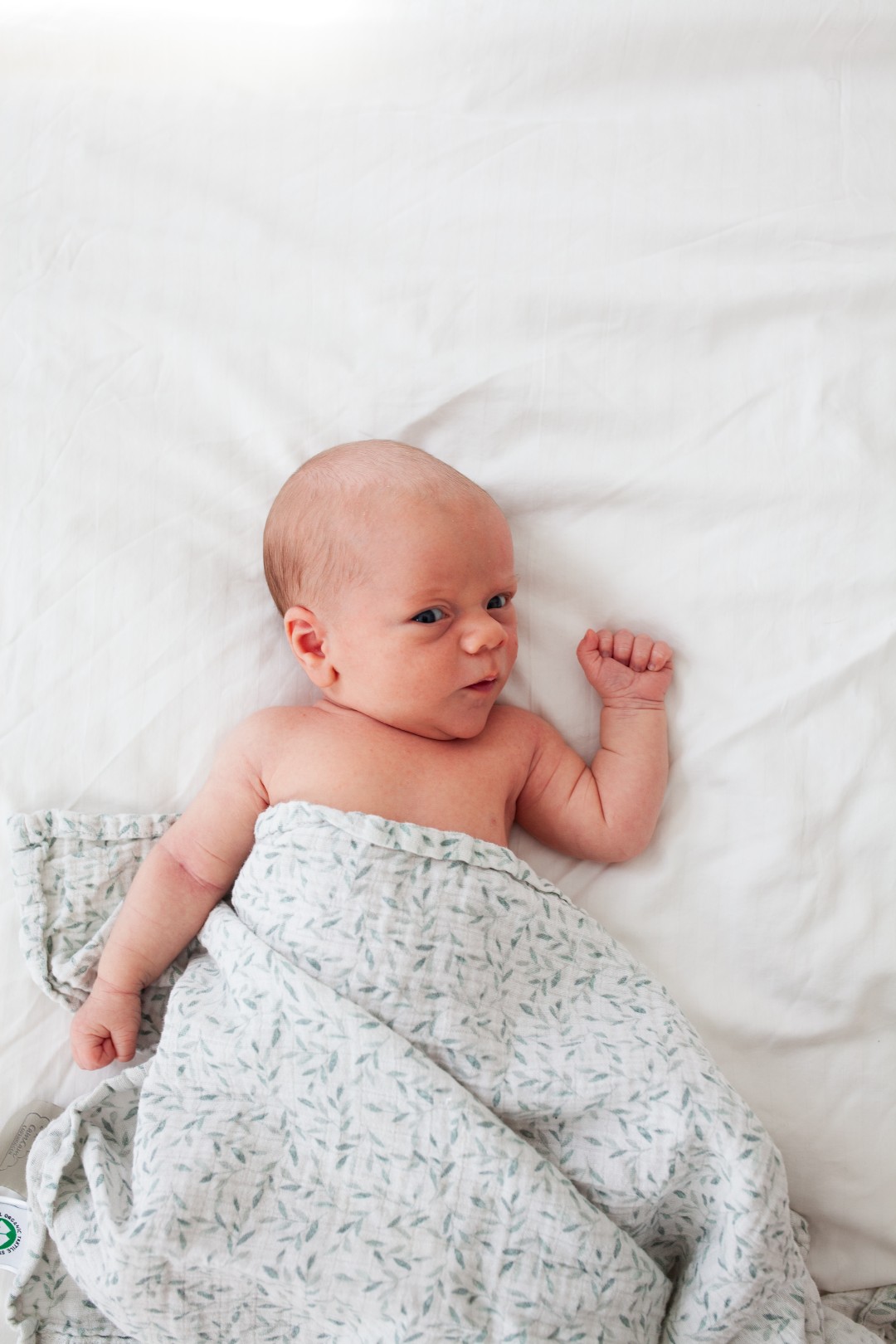 Pasgeboren baby gewikkeld in een deken
